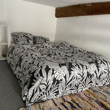 Appartement De Caractere Au Coeur Du Centre-Ville Montpellier Extérieur photo
