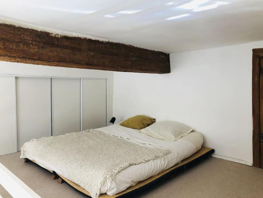 Appartement De Caractere Au Coeur Du Centre-Ville Montpellier Extérieur photo