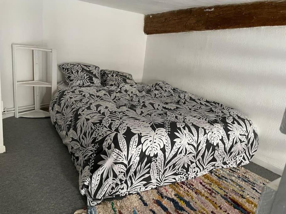 Appartement De Caractere Au Coeur Du Centre-Ville Montpellier Extérieur photo